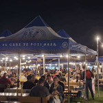 FESTIVALUL MICUL DE AUR